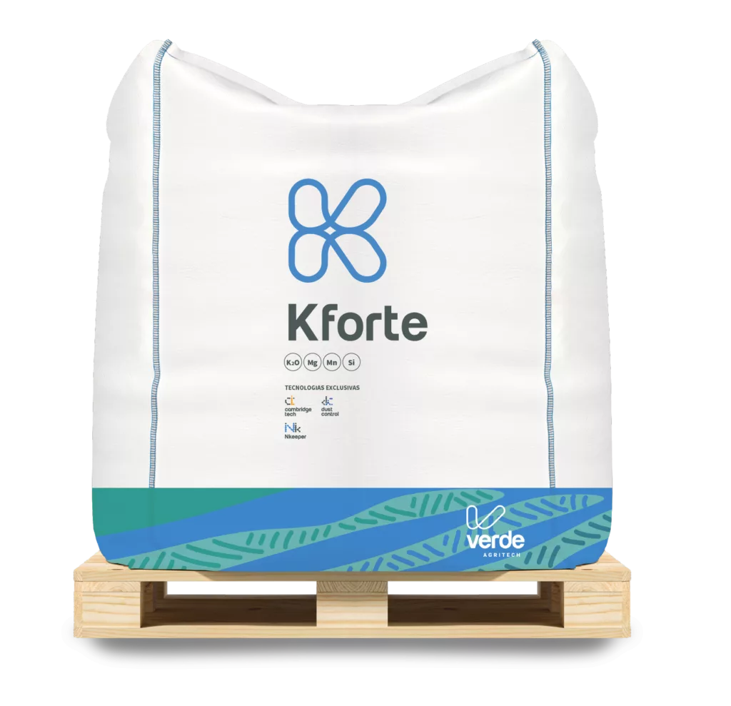 kforte-café