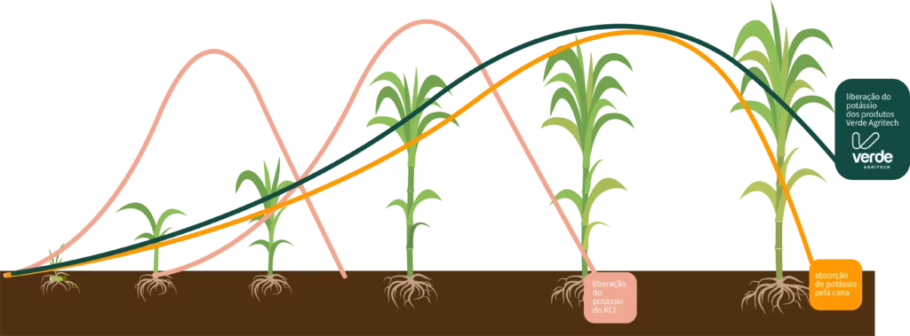 cana-verdeagritech