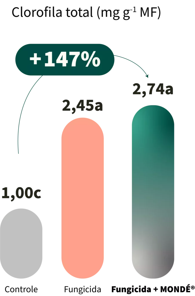 MONDÉ - Clorofila - Resistencia